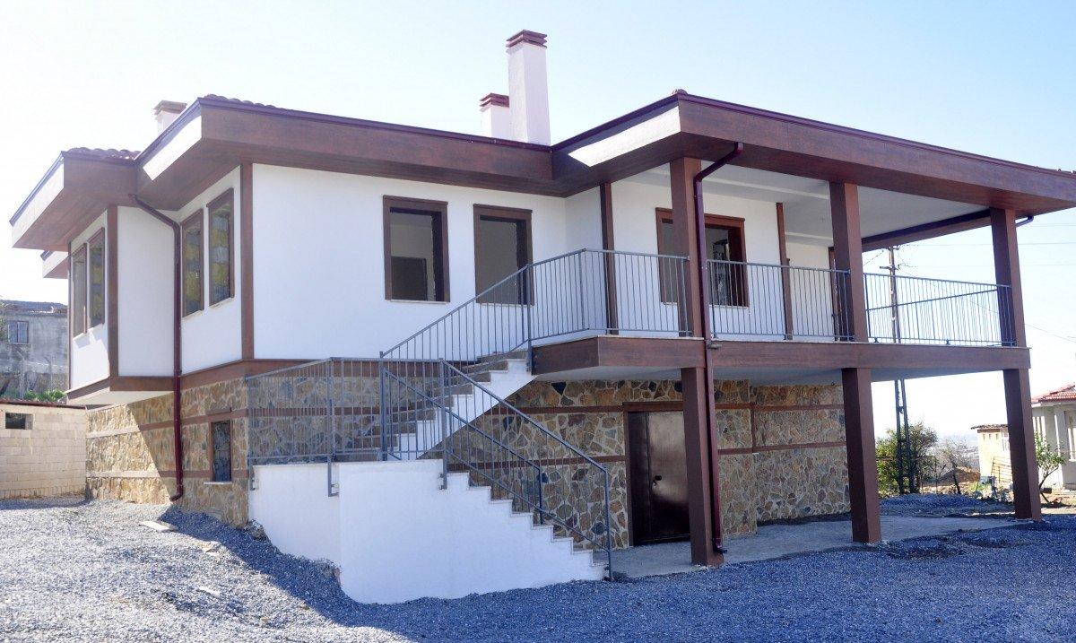 Antalya’da, yanan alanlara atılan tohumlar yeşerdi