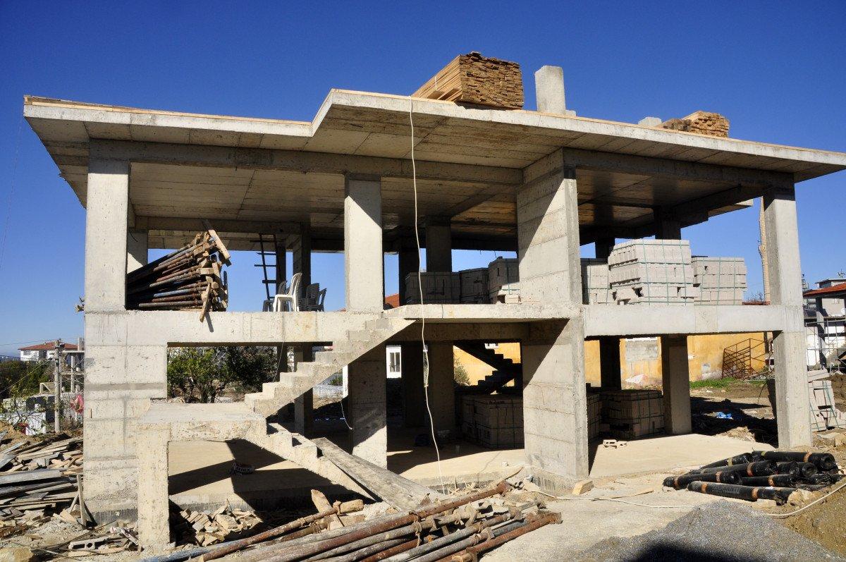 Antalya’da, yanan alanlara atılan tohumlar yeşerdi