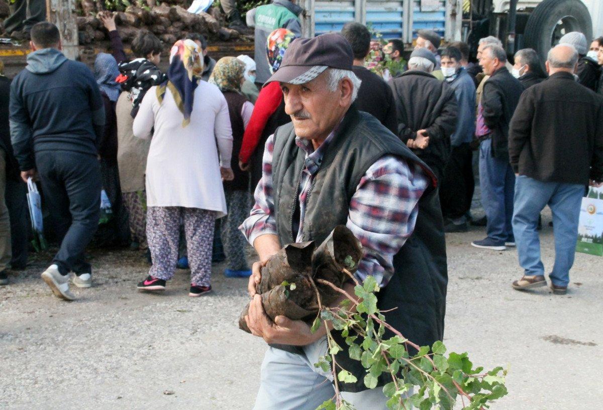 Antalya’da, yanan alanlara atılan tohumlar yeşerdi