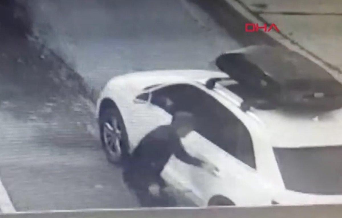 Bakırköy'de iş insanına 6 köpek saldırdı