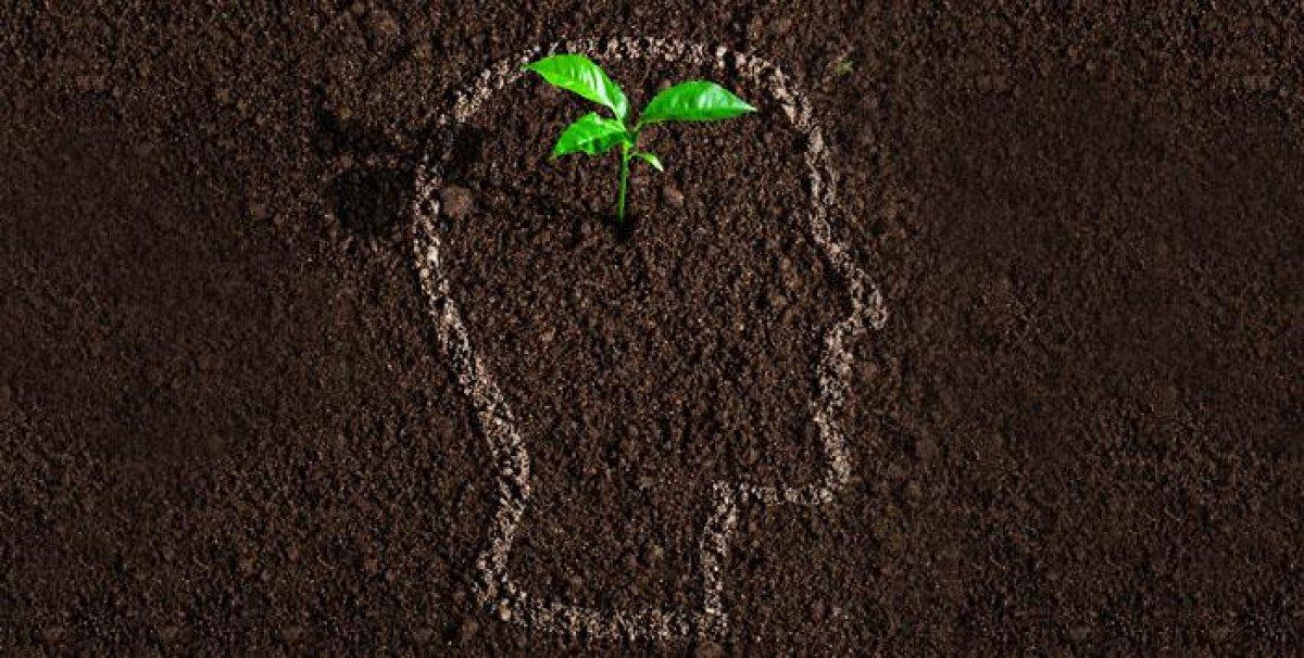 İlk insan ve ilk Peygamber Hz. Adem'in yaratılışı