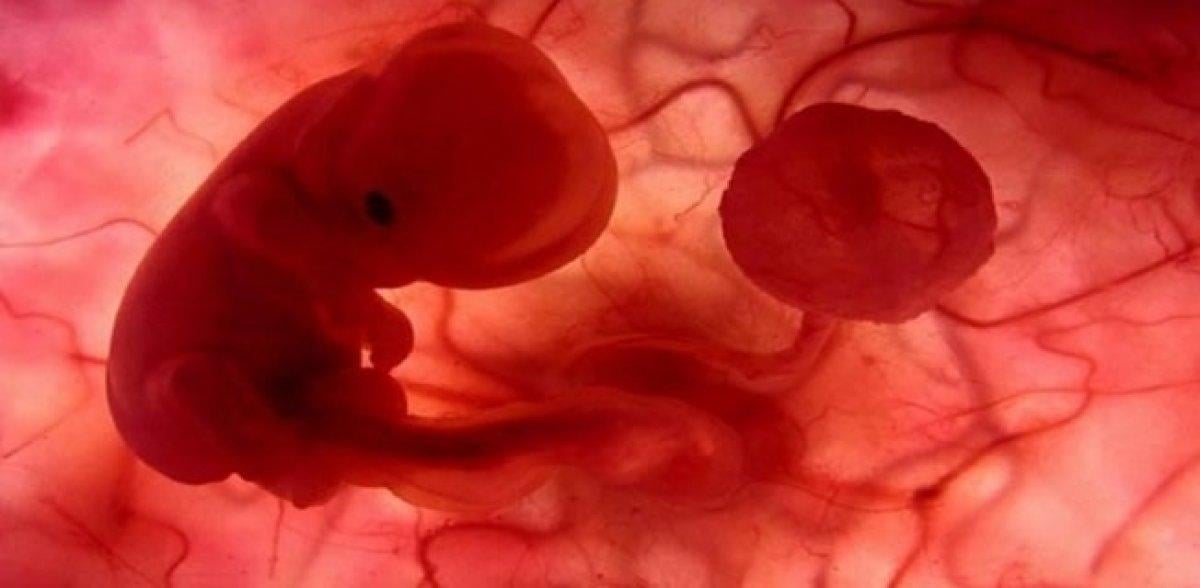 İlk insan ve ilk Peygamber Hz. Adem'in yaratılışı