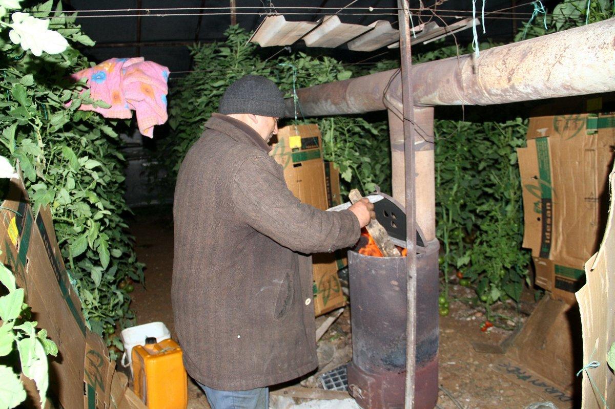 Muğla'da seracıların sobalı zirai don nöbeti