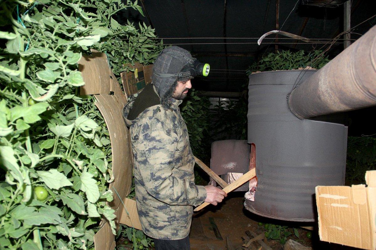 Muğla'da seracıların sobalı zirai don nöbeti