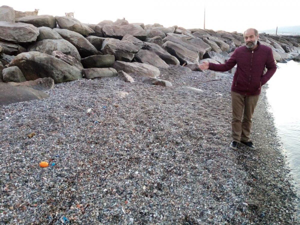 Bandırma'da deniz 10 metre geri çekildi