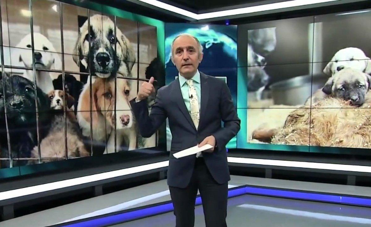 Emin Çapa’nın canlı yayında belediyelere ilginç tepkisi