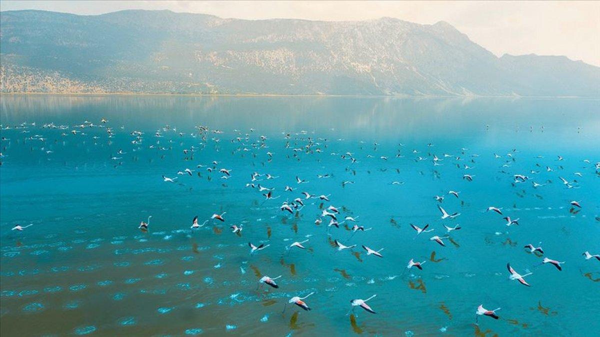 Türkiye'deki 14 volkanın olası tehdit haritası çıkarıldı