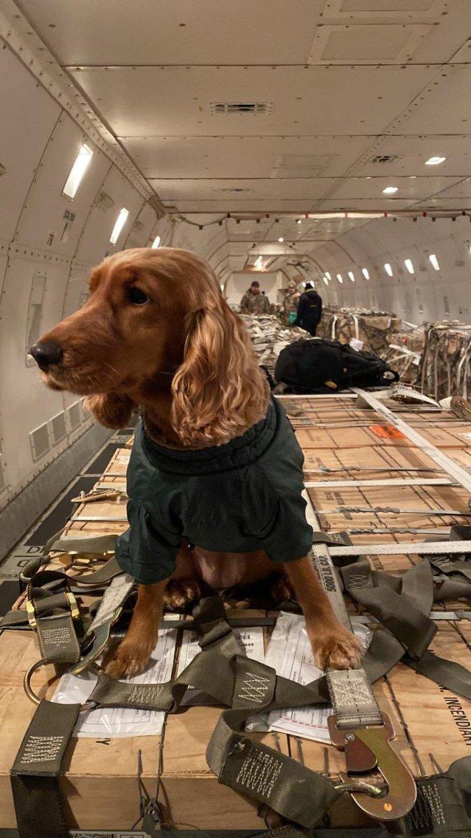 ABD’den Ukrayna’ya yeniden silah sevkiyatı: 80 ton