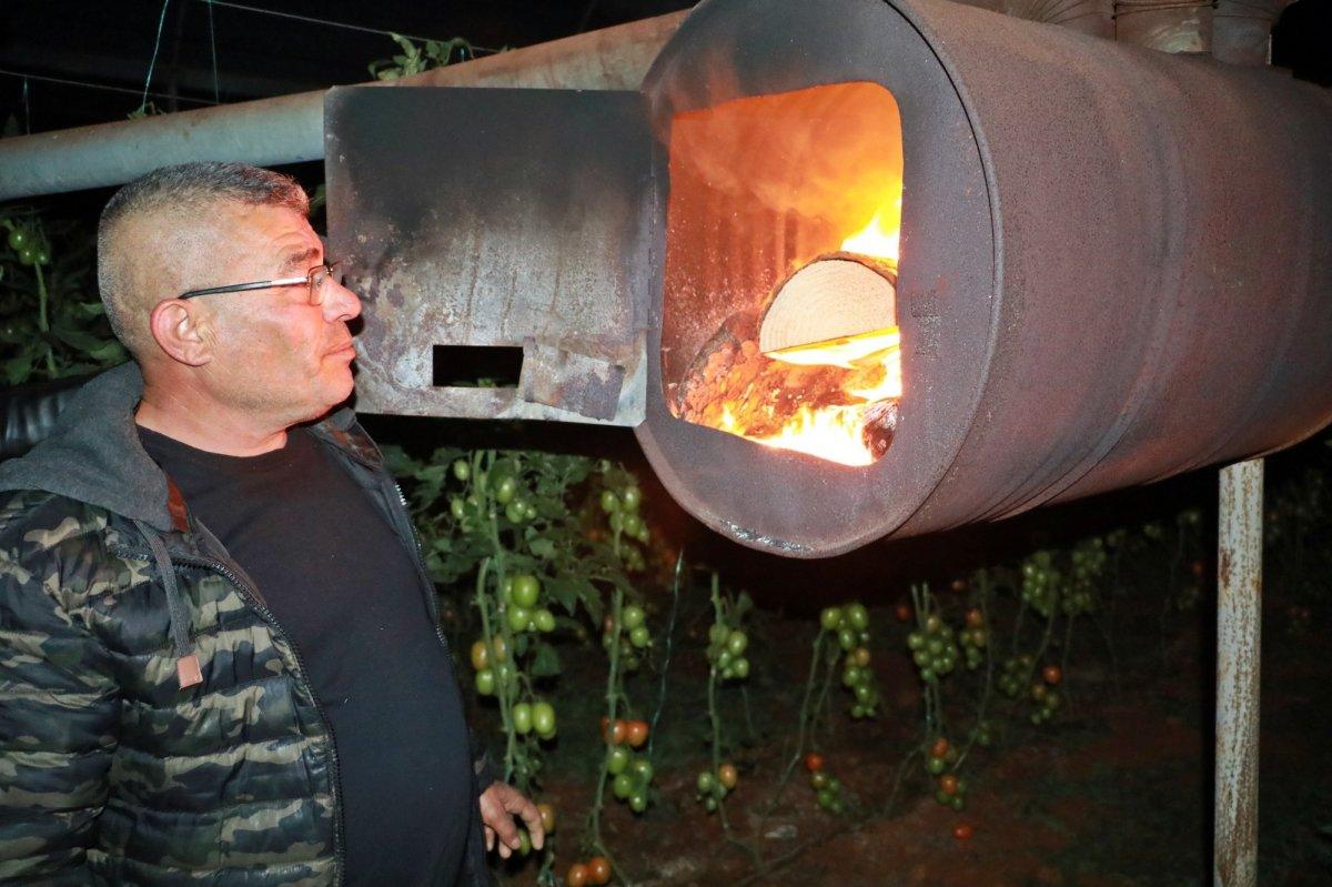 Antalya'da üreticiler, odun ve kömür fırsatçılarına tepki gösterdi