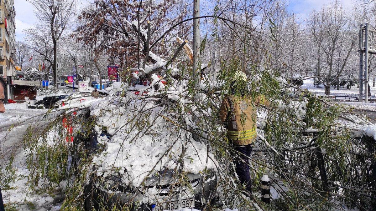 Beşiktaş'ta araçların üzerine ağaçlar devrildi