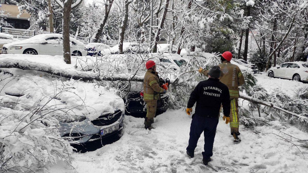 Beşiktaş'ta araçların üzerine ağaçlar devrildi