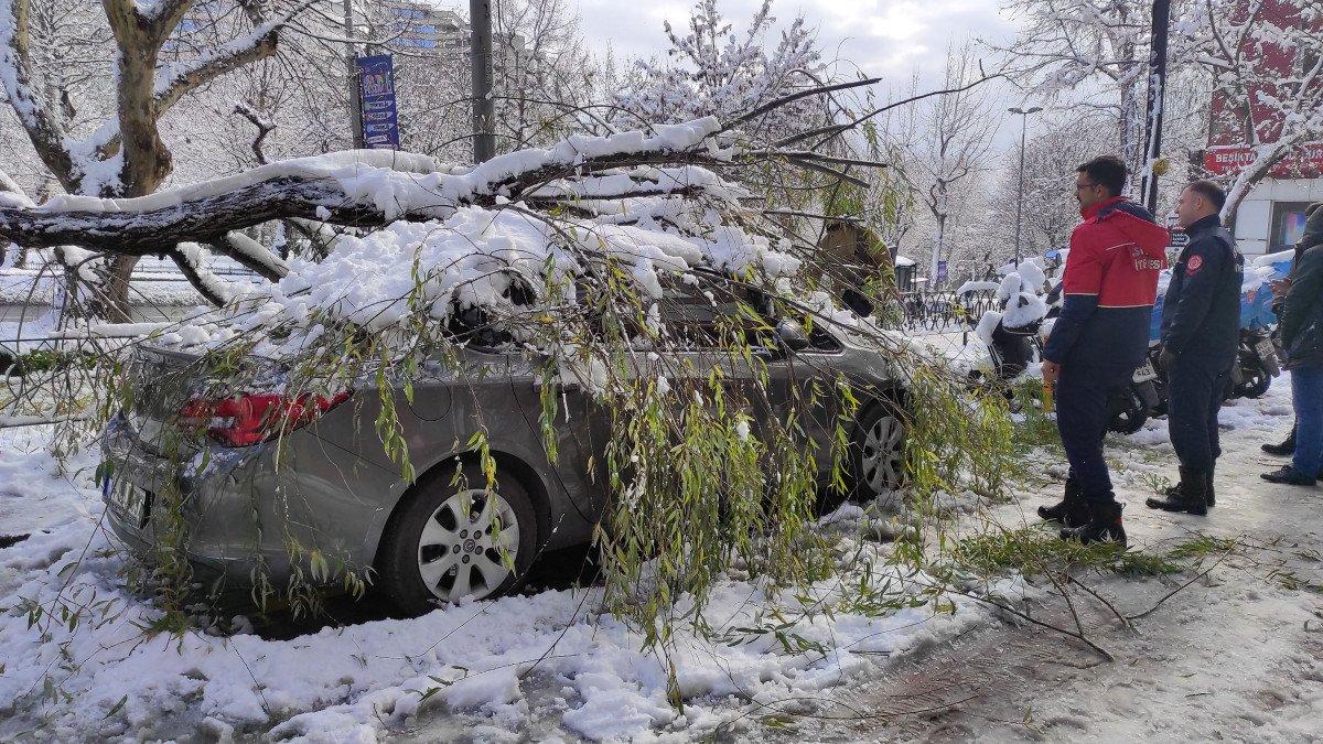 Beşiktaş'ta araçların üzerine ağaçlar devrildi