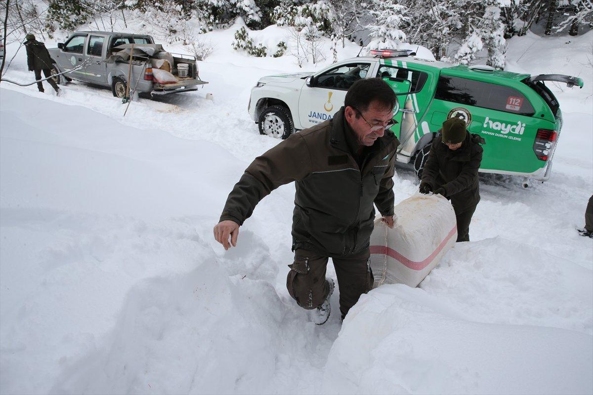 Giresun'da yaban hayvanları için doğaya yem bırakıldı