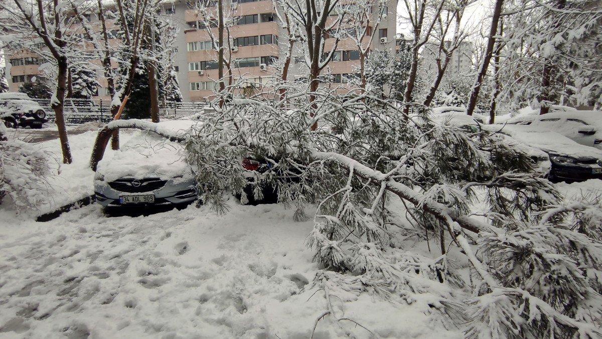 Beşiktaş'ta araçların üzerine ağaçlar devrildi