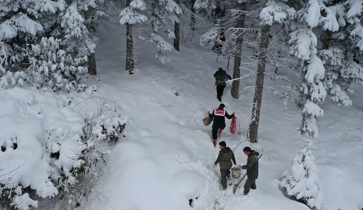 Giresun'da yaban hayvanları için doğaya yem bırakıldı