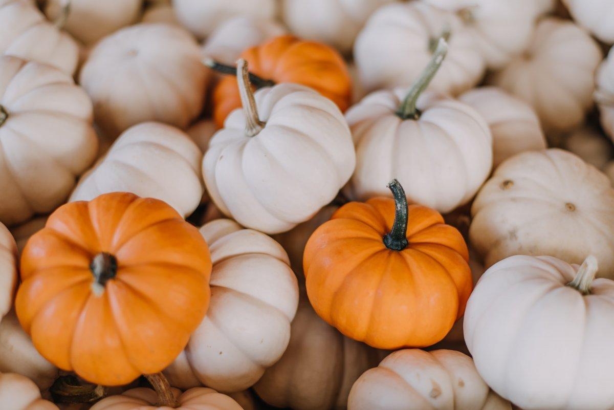 Düzenli olarak tüketmeniz gereken en sağlıklı 10 kış besini