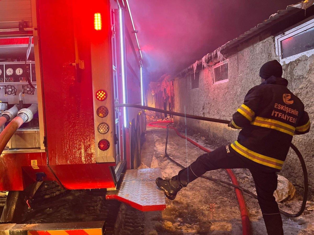 Eskişehir'de saatlerce süren yangın 80'e yakın hayvanı telef etti