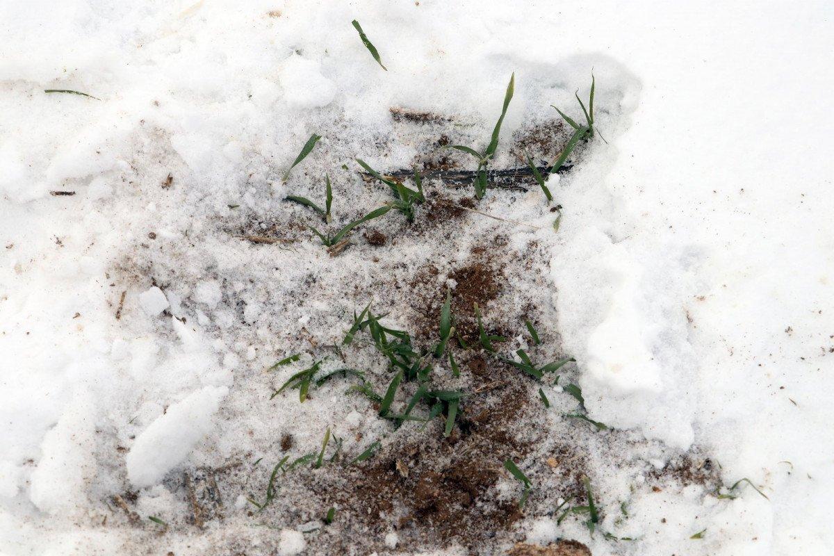 Eskişehirli çiftçiler kar yağışından memnun