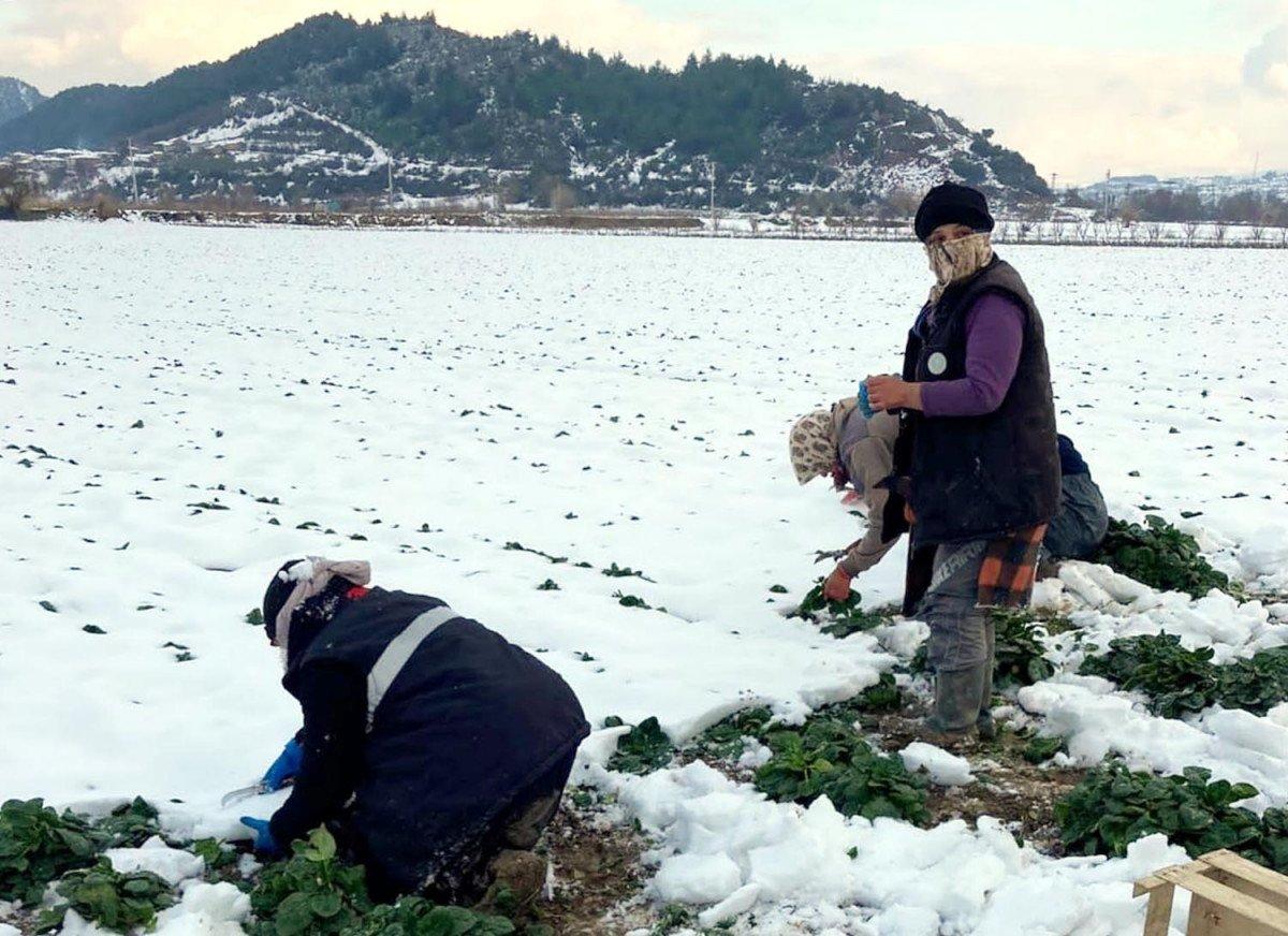 Eskişehirli çiftçiler kar yağışından memnun