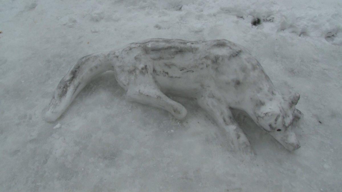 İstanbul'da kardan kurt yaptılar