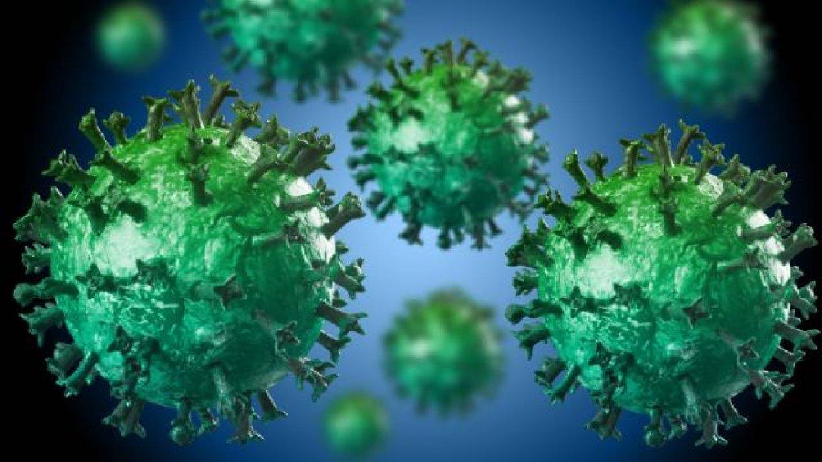 Gizli Omicron: BA.2 nedir, belirtileri nelerdir?