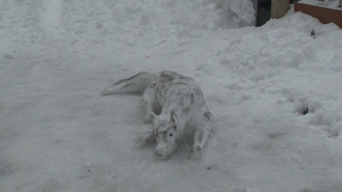 İstanbul'da kardan kurt yaptılar