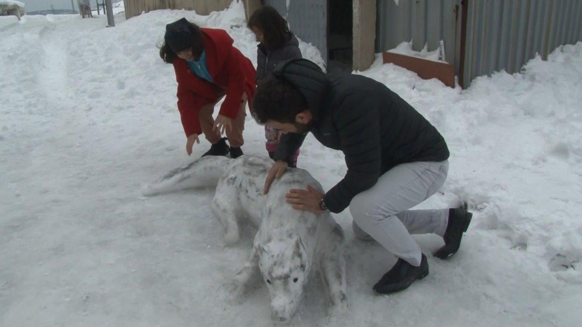 İstanbul'da kardan kurt yaptılar