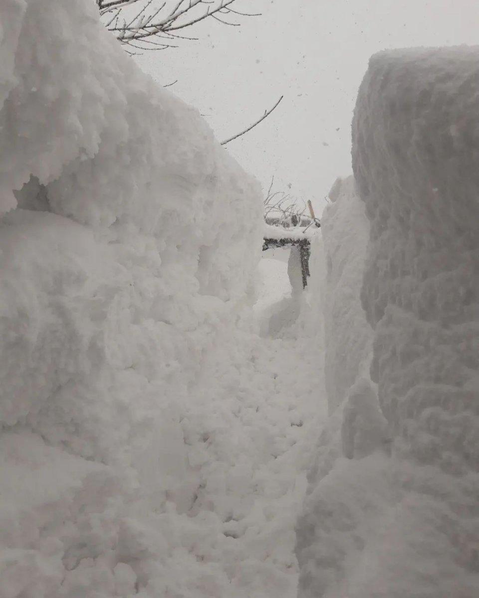 Elazığ'da kar 2 metre: Komşuya gitmek için tünel kazdılar