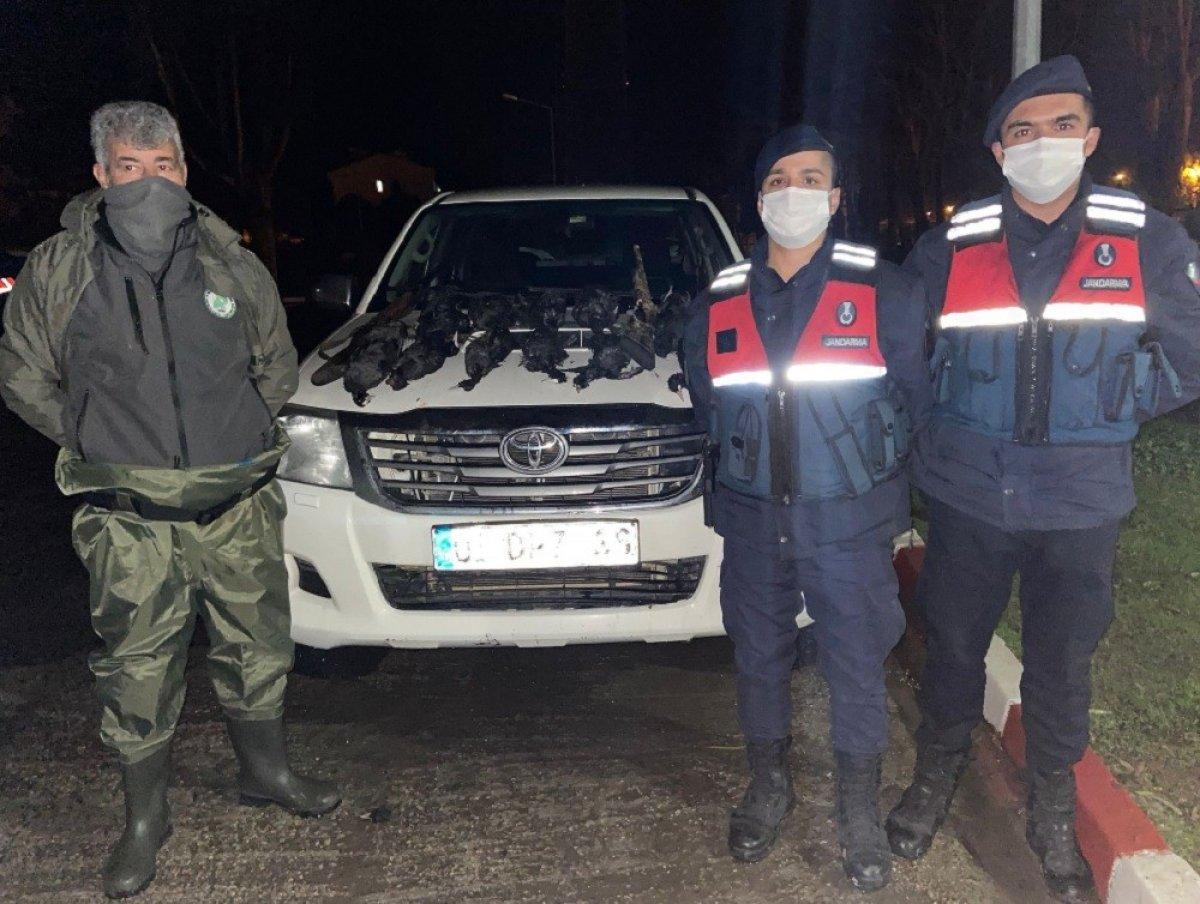 Adana'da sakarmeke avlamaya 23 bin 77 TL ceza