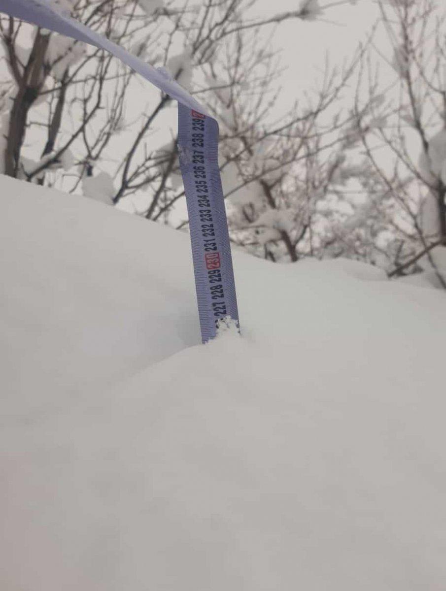 Elazığ'da kar 2 metre: Komşuya gitmek için tünel kazdılar