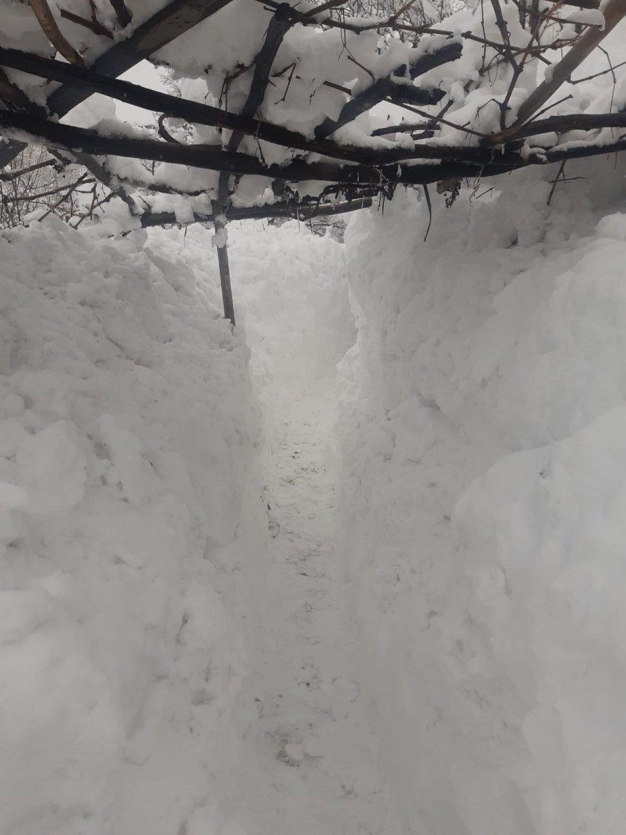 Elazığ'da kar 2 metre: Komşuya gitmek için tünel kazdılar