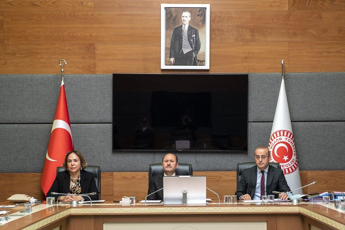 TBMM, HDP'li Semra Güzel'in sözlü savunması için tekrar toplanacak