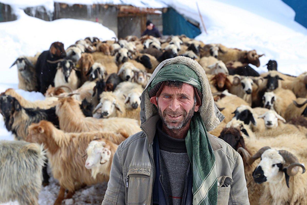 Kar altındaki Van'da vatandaşların zorlu yaşamı