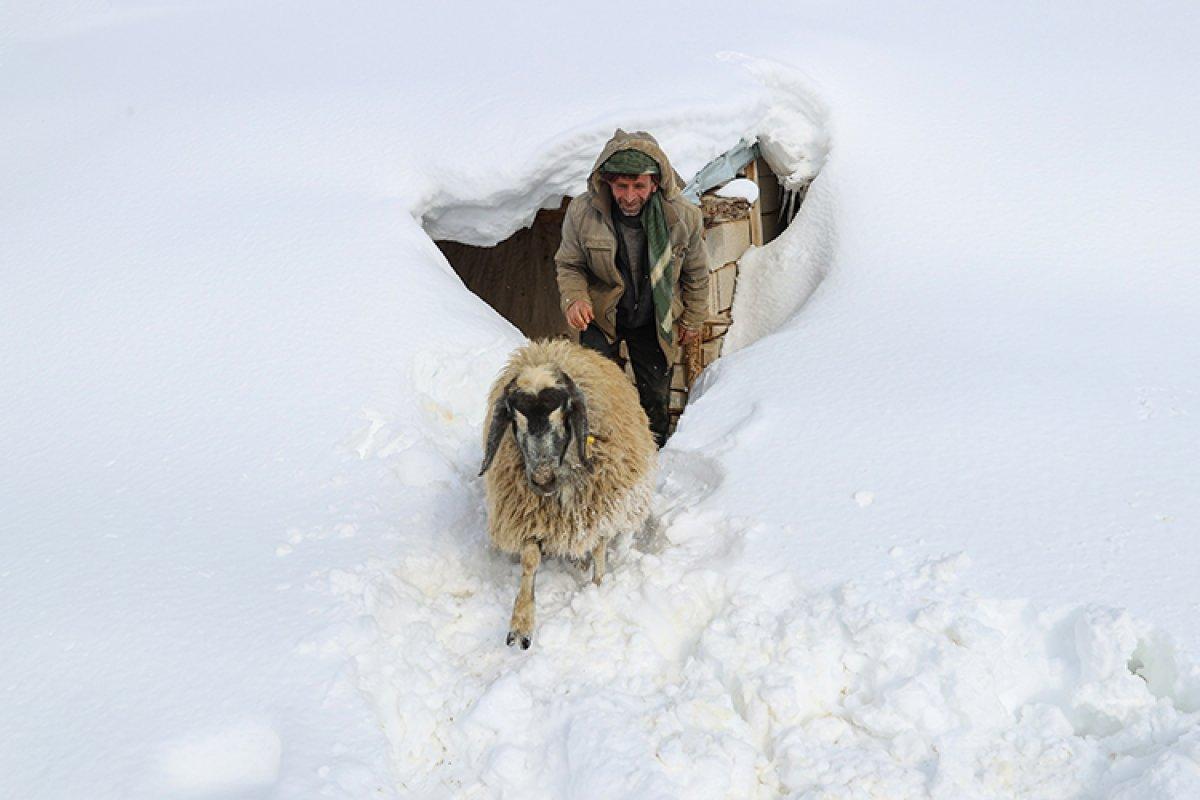 Kar altındaki Van'da vatandaşların zorlu yaşamı