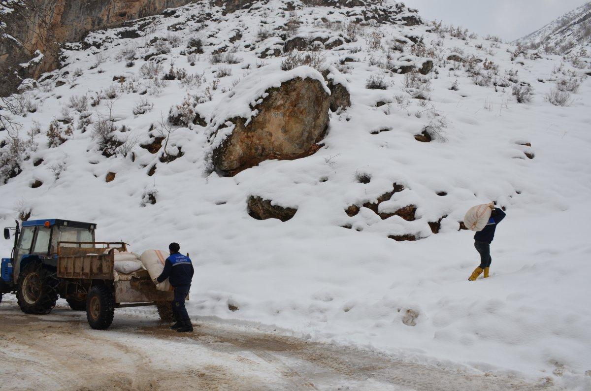Tanin Dağları'na kepçelerle ulaşılıp yem bırakıldı