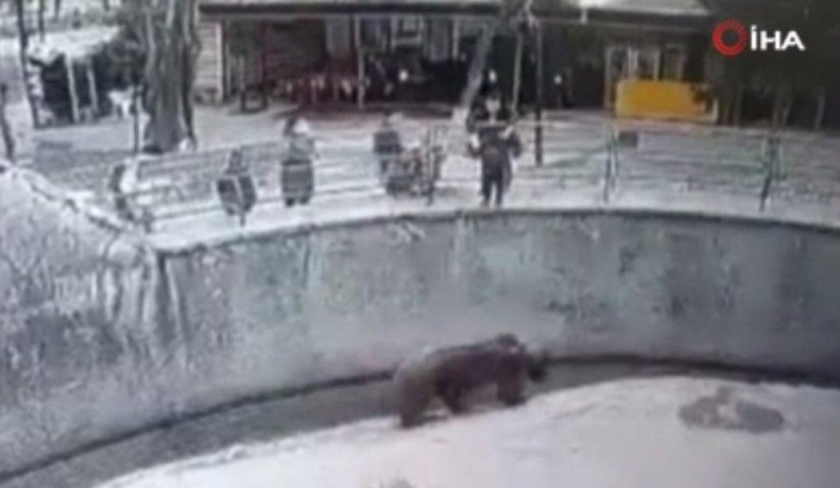 Özbekistan’da anne küçük kızını ayının yanına attı