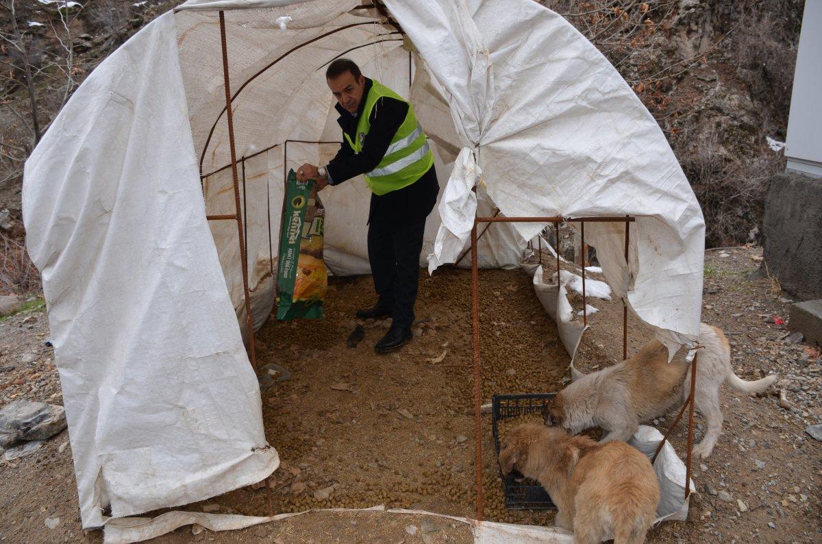 Tanin Dağları'na kepçelerle ulaşılıp yem bırakıldı