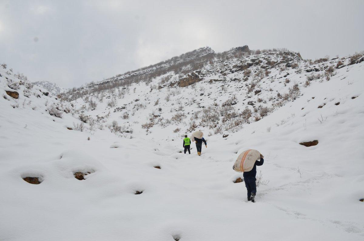 Tanin Dağları'na kepçelerle ulaşılıp yem bırakıldı