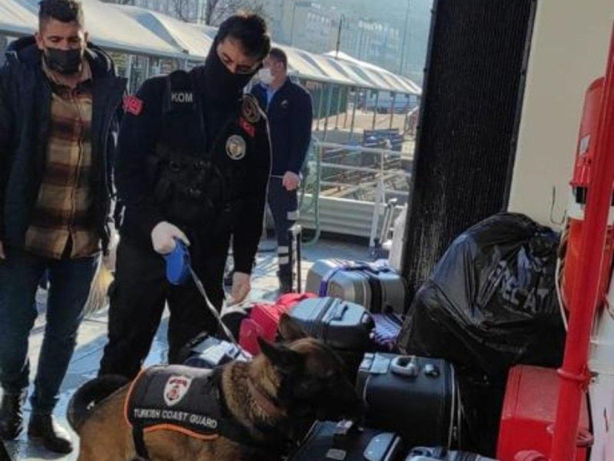 Jandarma, binlerce noktada 'Düzensiz Göç' uygulaması yaptı