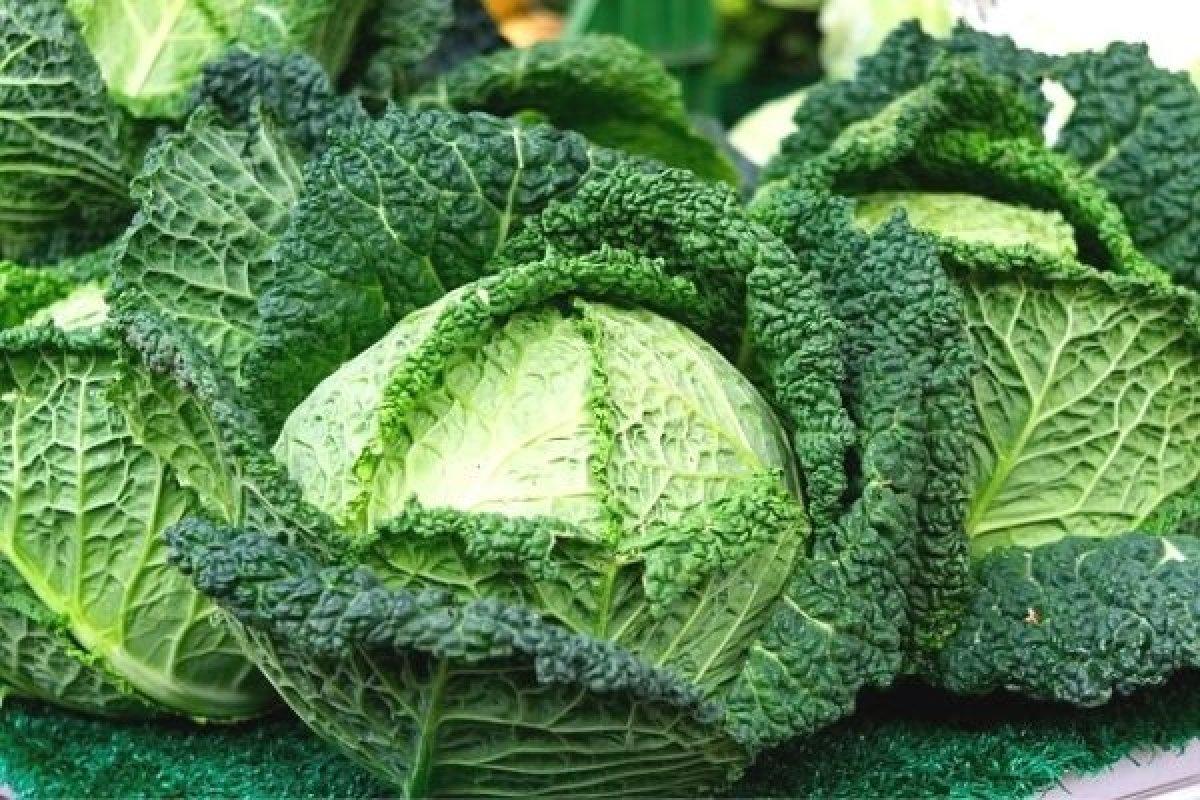 Kansere 'R' yaptırıyor: Kale bitkisinin faydaları nelerdir