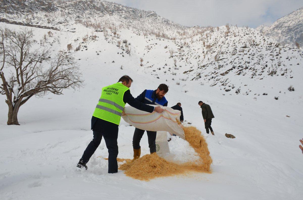 Tanin Dağları'na kepçelerle ulaşılıp yem bırakıldı