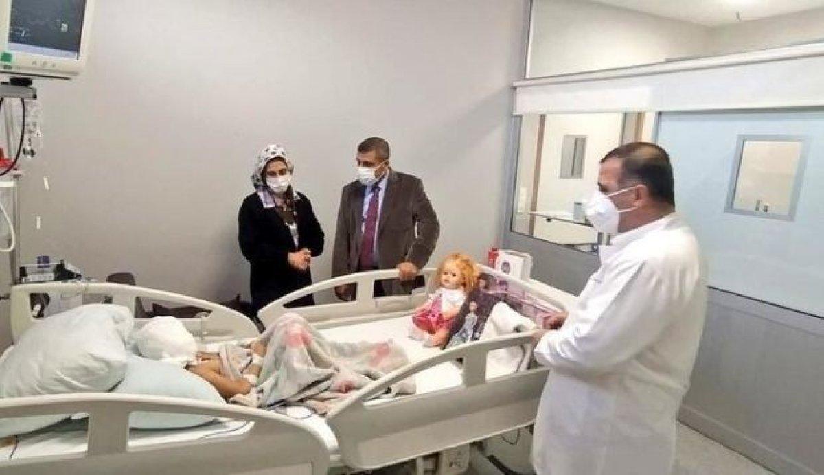 Asiye’ye saldıran köpekler iddianamede silah olarak sayıldı