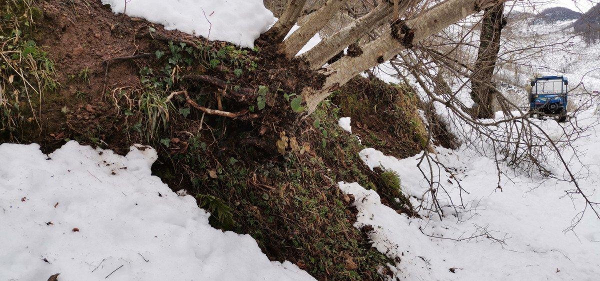 Ordu’da heyelan sonrası kayan mahalle korkutuyor