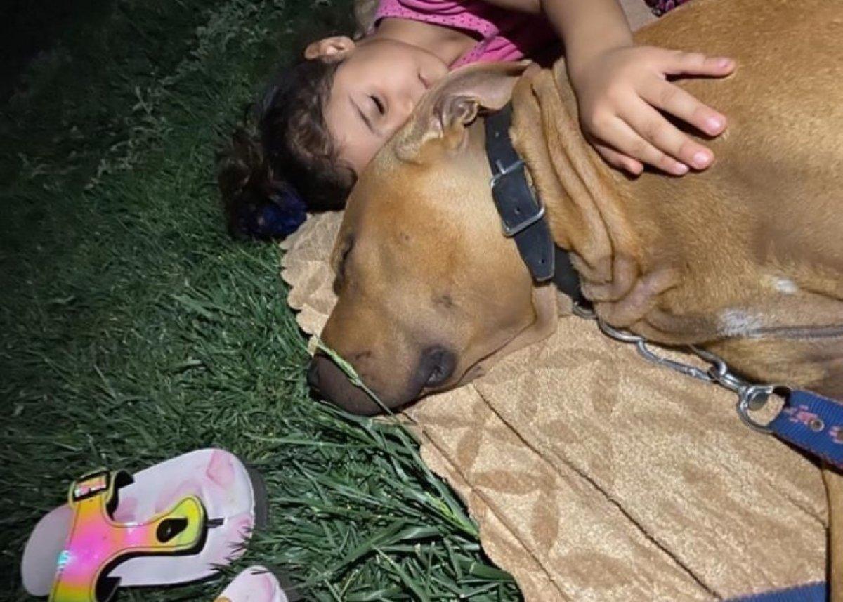 Pitbull saldırısına uğrayan Asiye Ateş, yeniden evinde