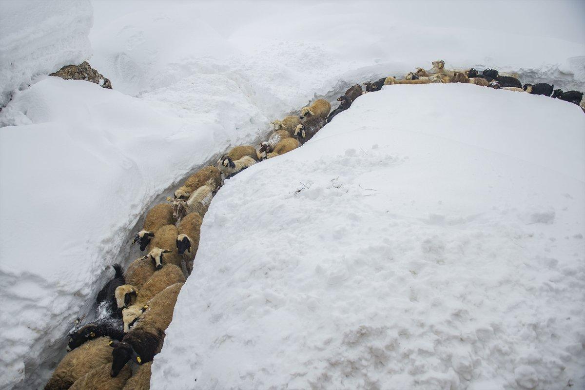 Etkili kar yağışı, Ovacık halkını sevindirdi