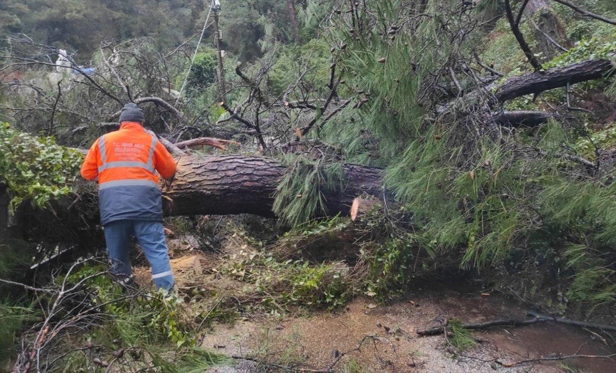 Muğla'da sağanak yağış hayatı olumsuz etkiliyor