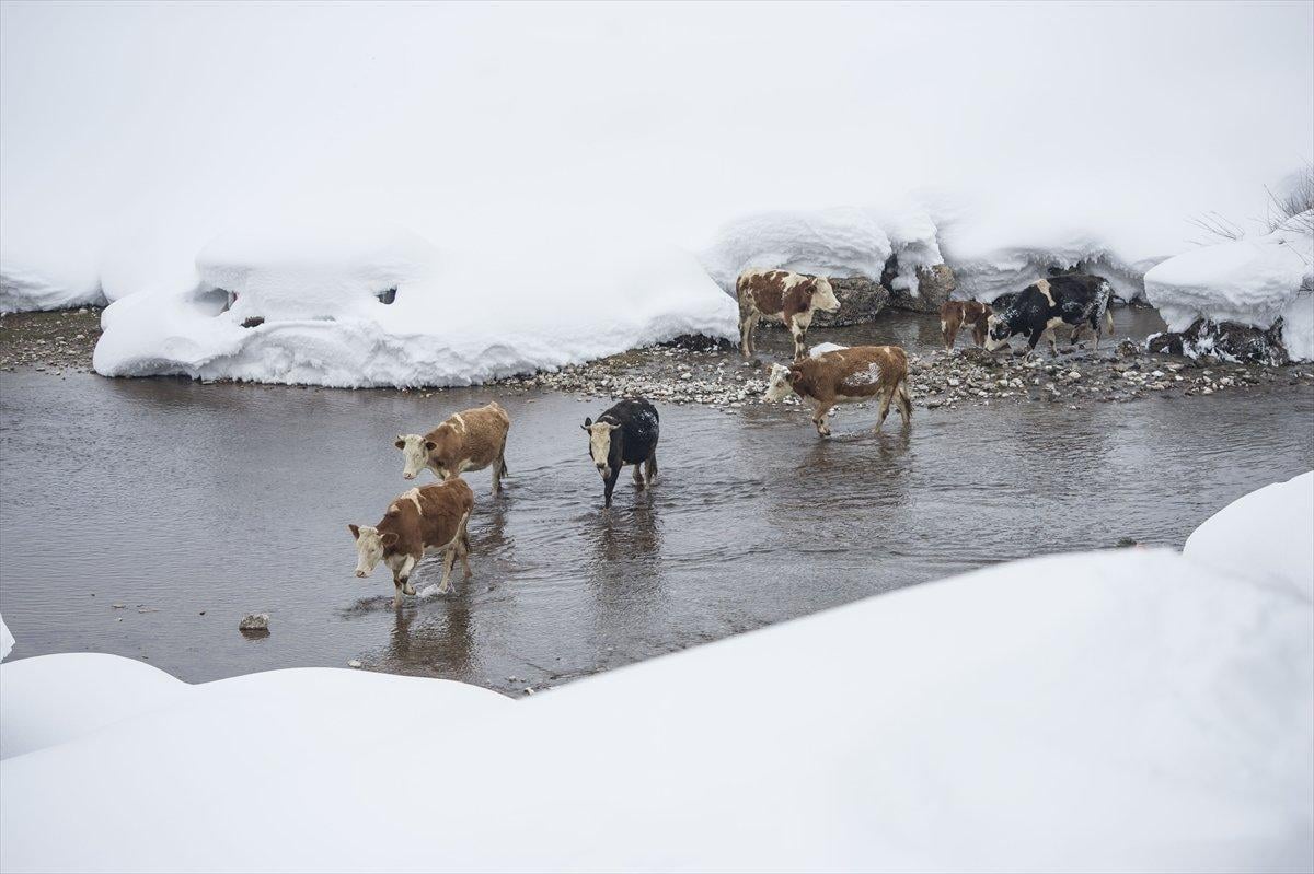 Etkili kar yağışı, Ovacık halkını sevindirdi