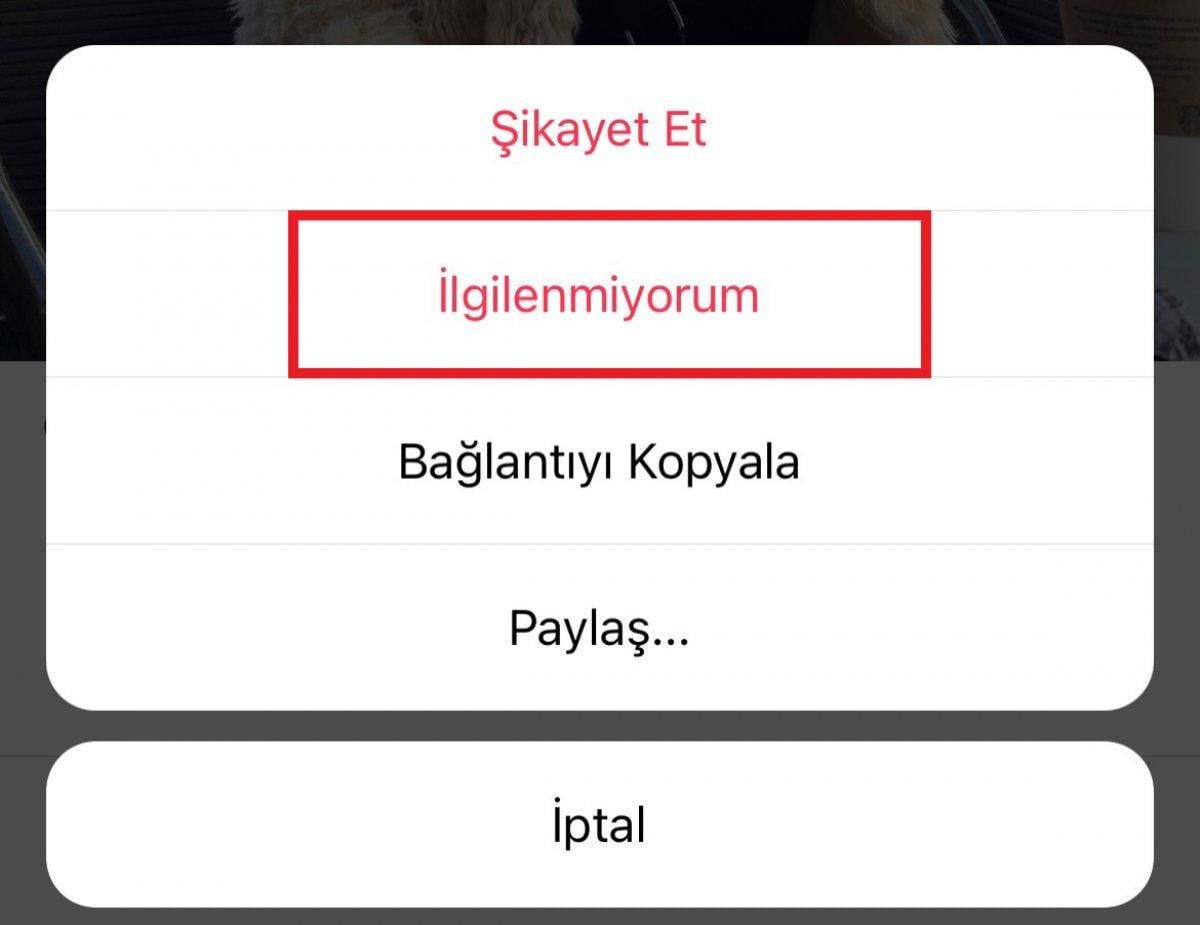 Sil baştan! Instagram keşfet nasıl sıfırlanır anlatıyoruz...