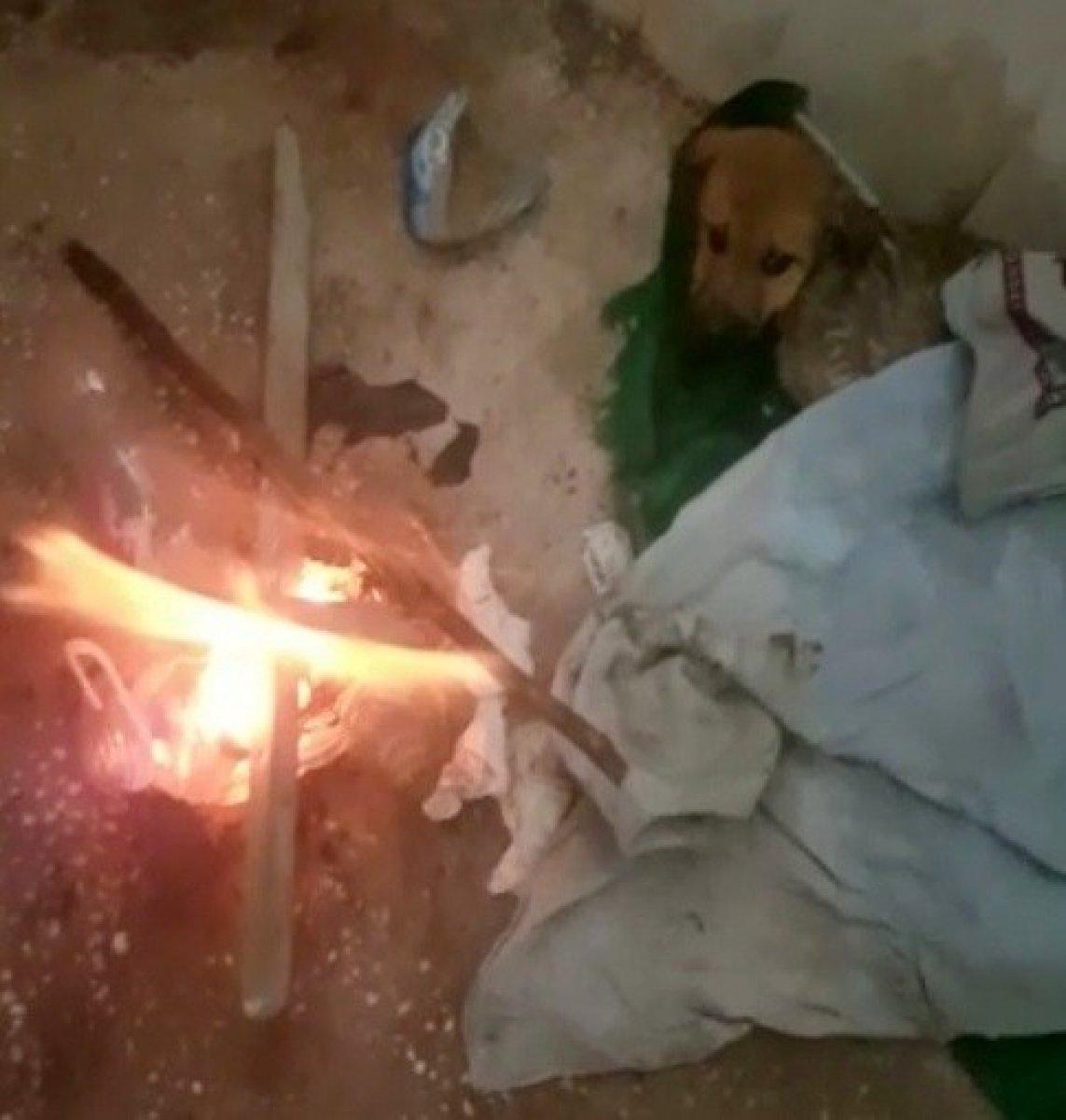 Osmaniye'de donmak üzere olan yavru köpek kurtarıldı