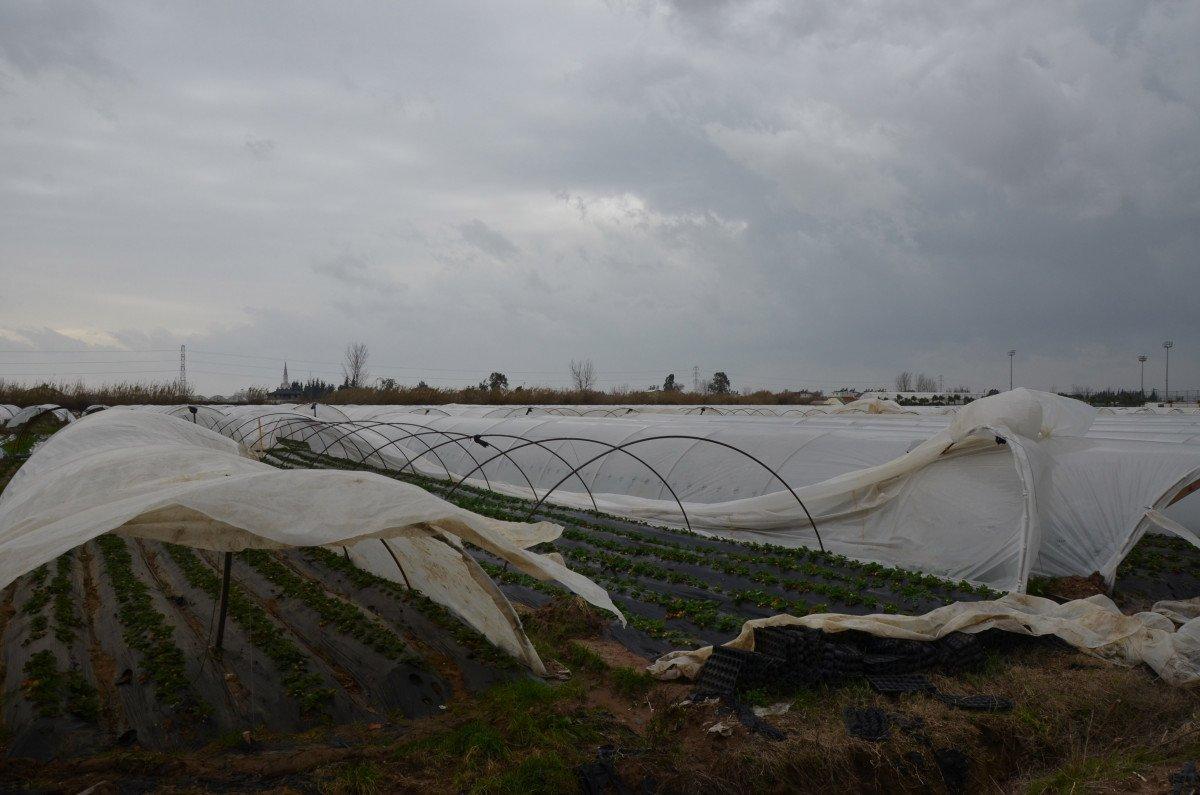 Antalya’da fırtına ve hortum, seraları yerle bir etti